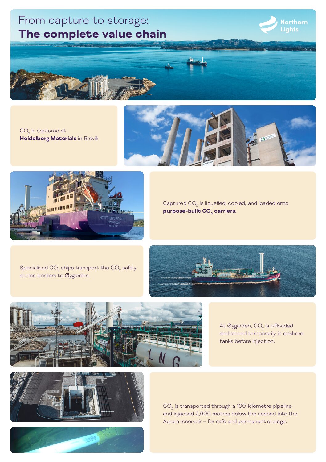 The complete value chain